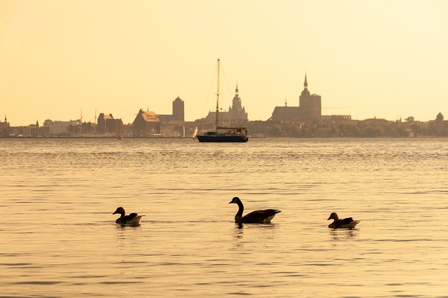** Detale architektoniczne jako bariery epidemiologiczne: Analiza przykładów z miast portowych Hanzy. - 3 2025