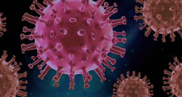 **"Architektoniczne echo epidemii: Jak zarazy kształtowały układy przestrzenne i detale budowlane w miastach portowych Hanzy?"** - 3 2025