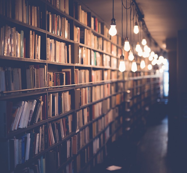 Biblioteki jako schronienia dla niepełnosprawnych: Jak dostosowanie przestrzeni może zmienić życie czytelników - 1 2025