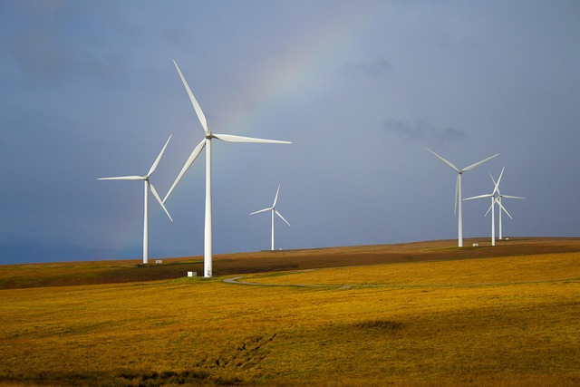 Jak własnoręcznie stworzyłem termoelektryczny przenośny generator energii z odpadów spożywczych - 1 2025